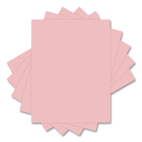 UNVUNV11204CT