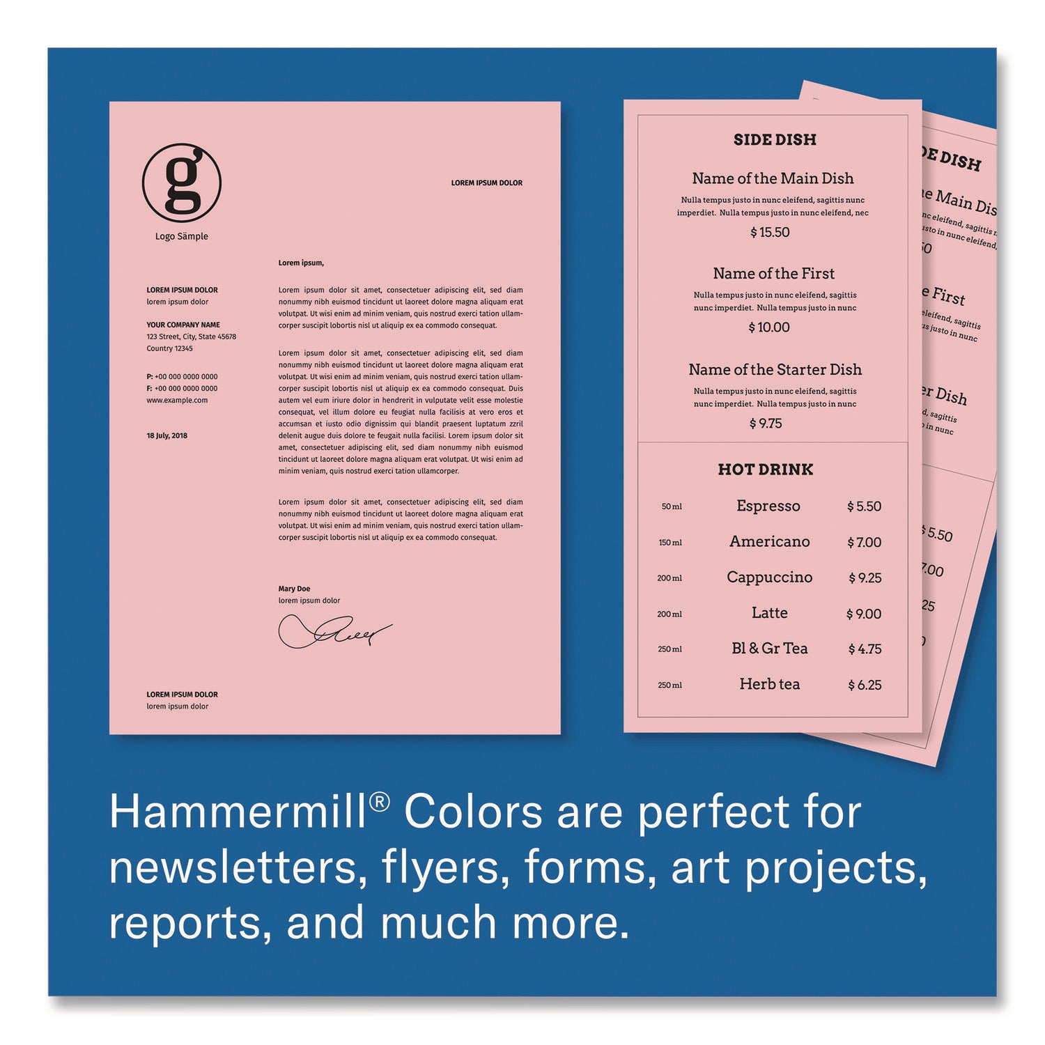 HAMHAM104463