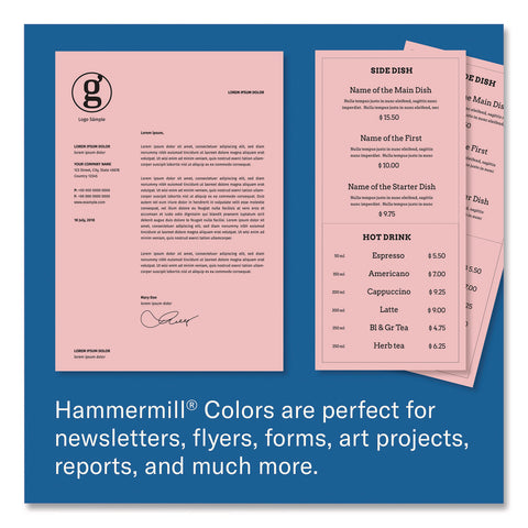 HAMHAM104463