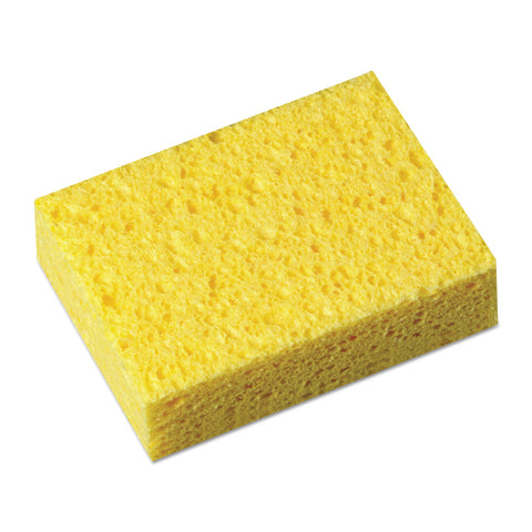 MMMC31
