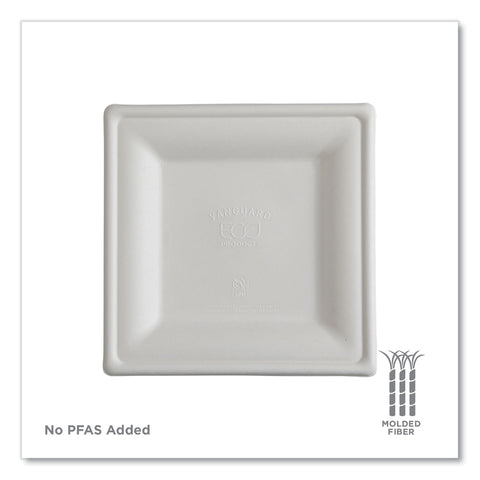 ECOEP-P023NFA