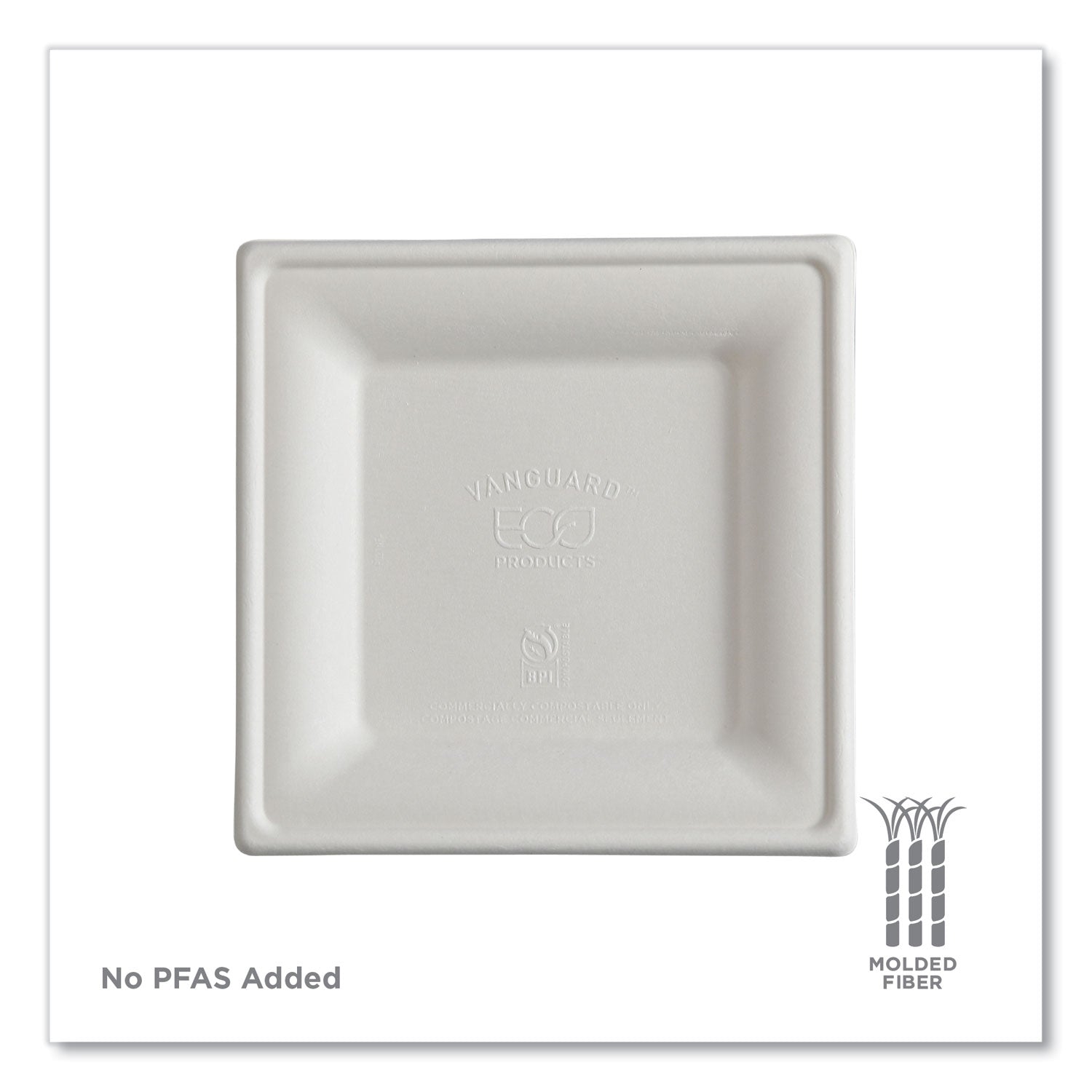ECOEP-P021NFA