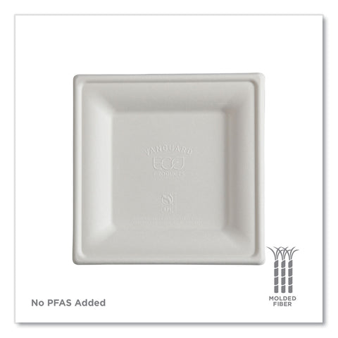 ECOEP-P021NFA
